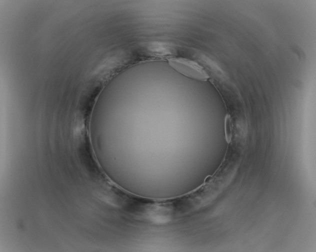 X0000113050320200909101944