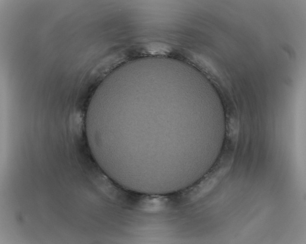 X0000113050321200909101944