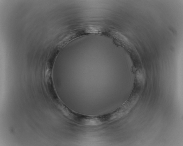 X0000113050322200909101944