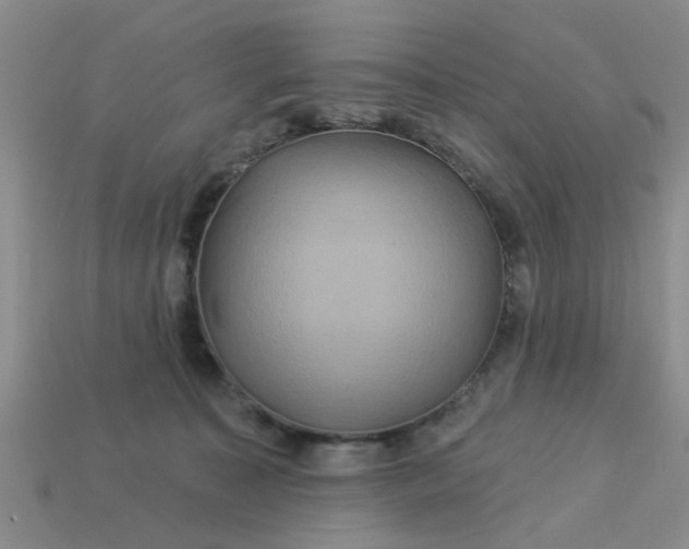 X0000113050323200909101944