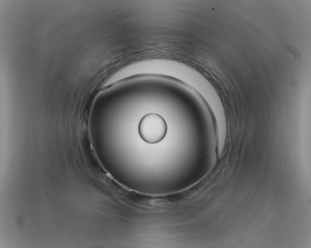 X0000113050324200909101944