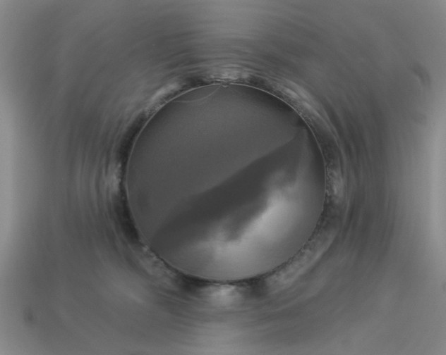 X0000113050326200909101944