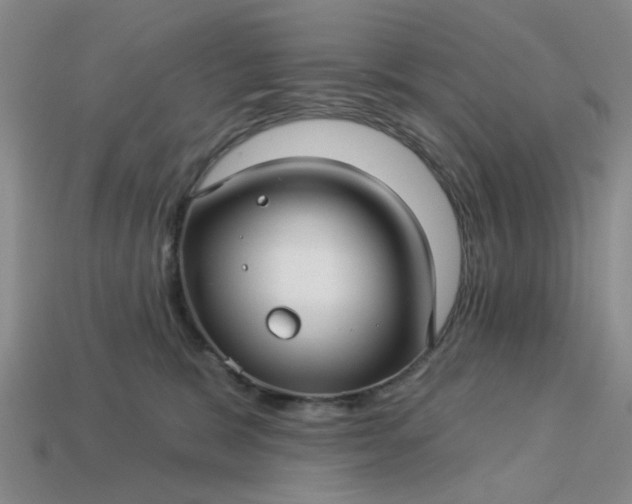 X0000113050327200909101944