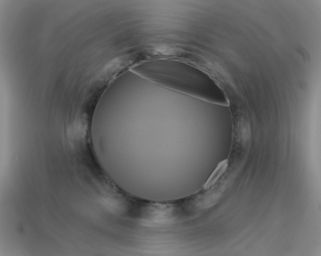 X0000113050328200909101944