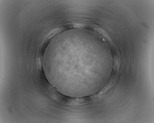 X0000113050329200909101944