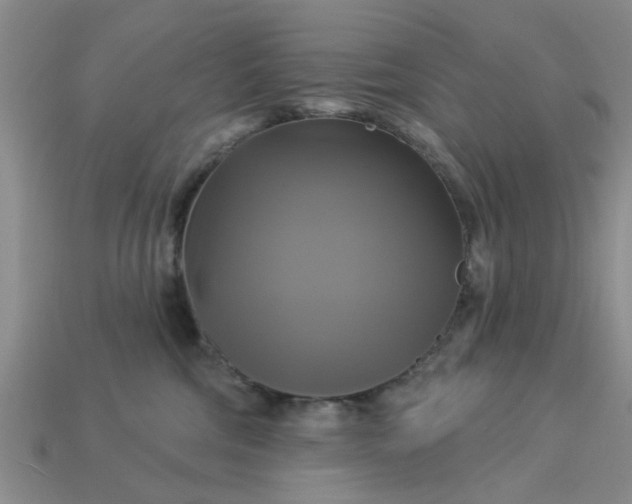 X0000113050330200909101944