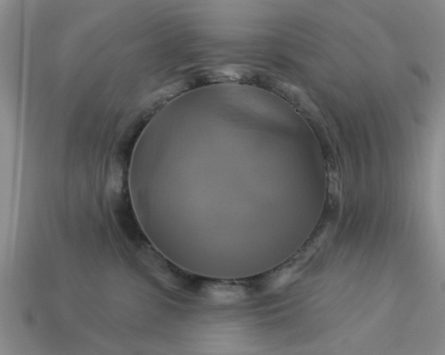 X0000113050331200909101944