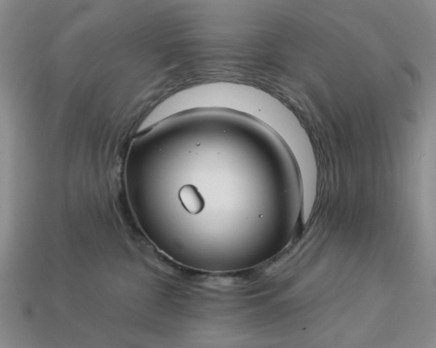 X0000113050332200909101944