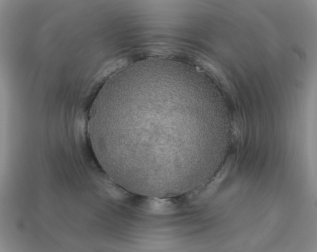 X0000113050333200909101944