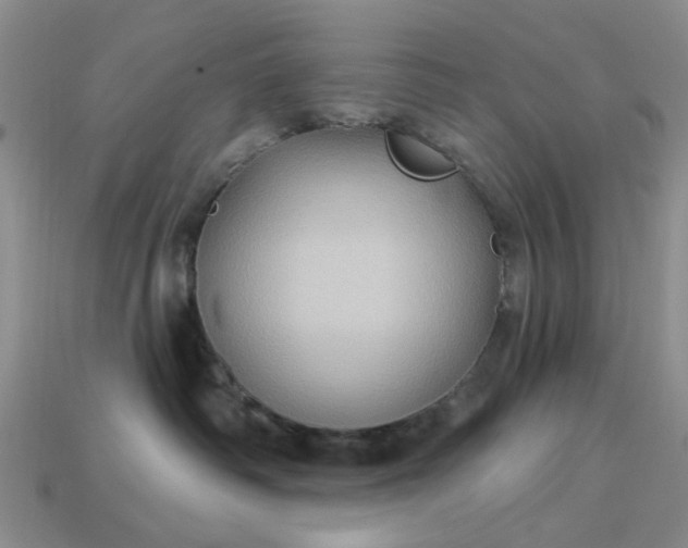 X0000113050334200909101944