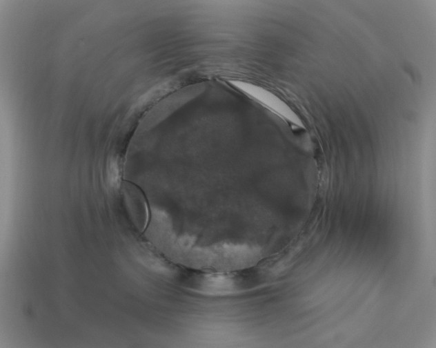 X0000113050335200909101944