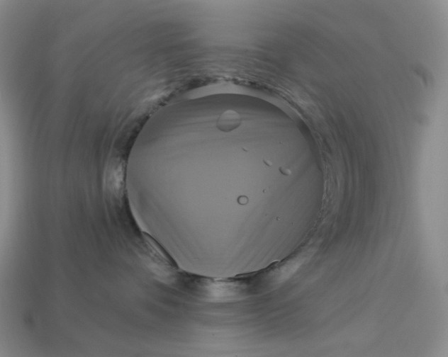 X0000113050336200909101944