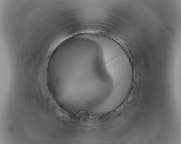 X0000113050337200909101944