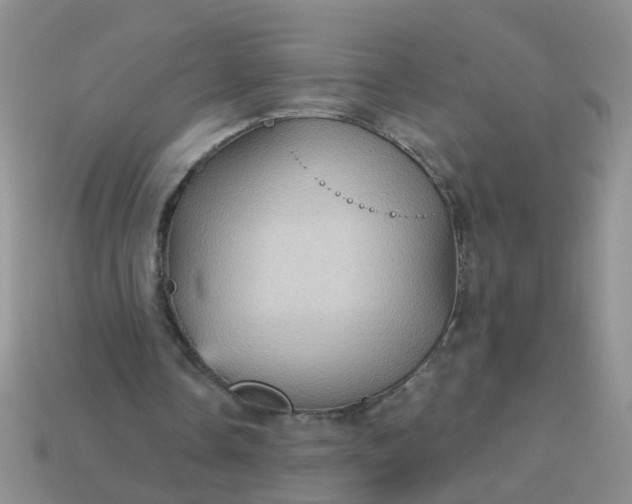 X0000113050338200909101944