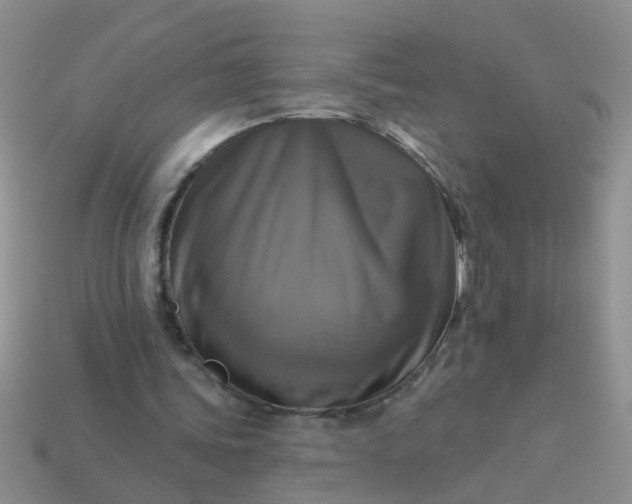 X0000113050339200909101944