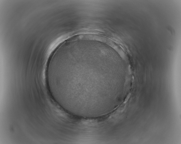 X0000113050340200909101944