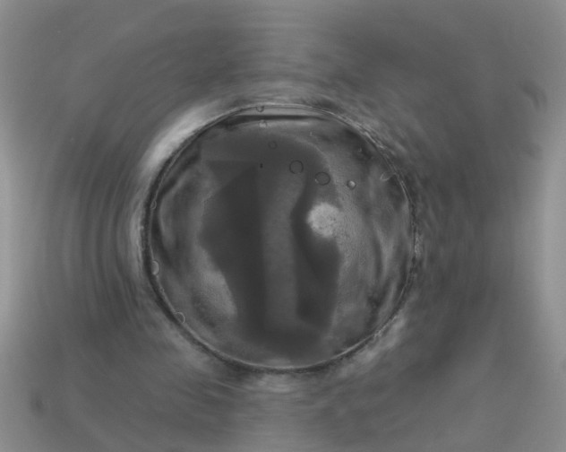 X0000113050341200909101944