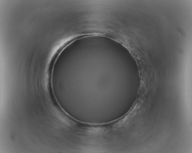 X0000113050342200909101944