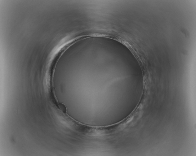 X0000113050343200909101944