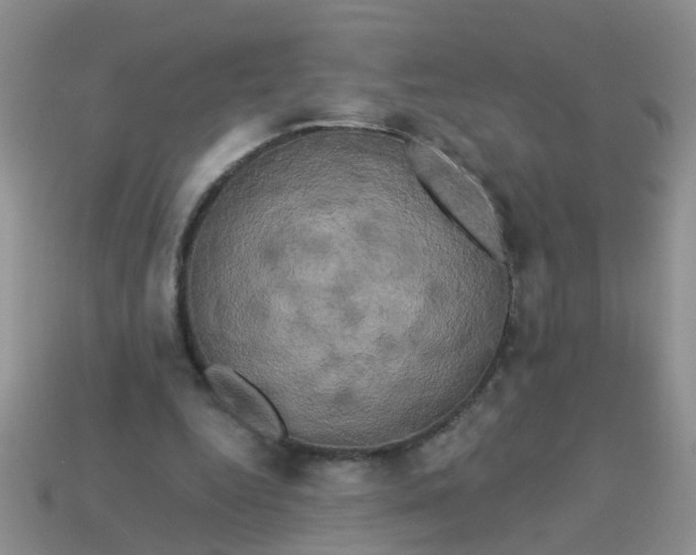 X0000113050344200909101944