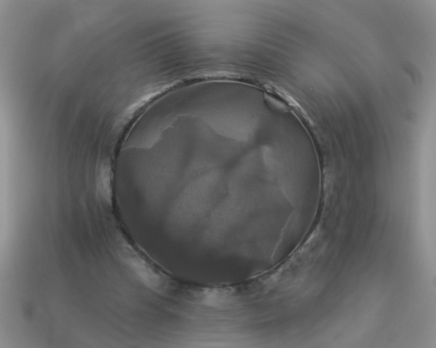 X0000113050345200909101944