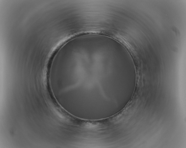 X0000113050346200909101944