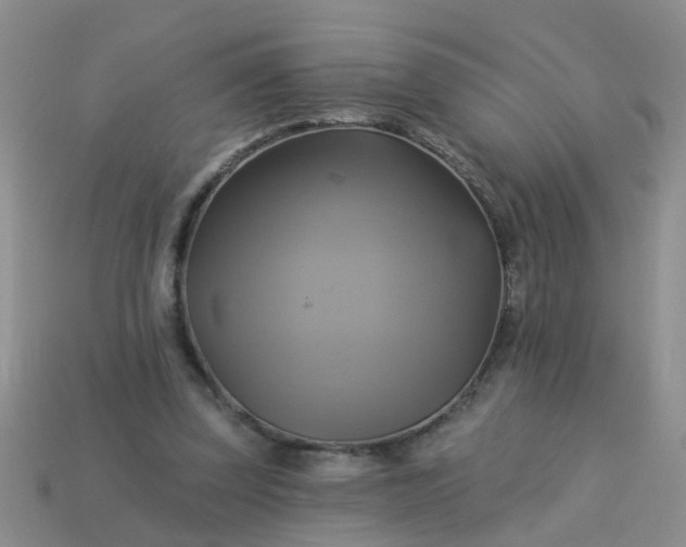 X0000113050347200909101944