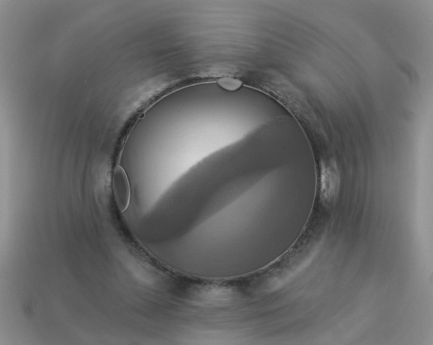 X0000113050348200909101944