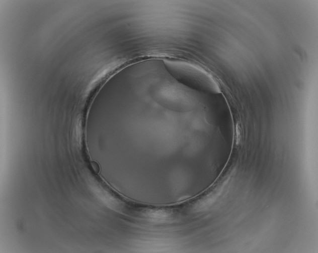 X0000113050349200909101944