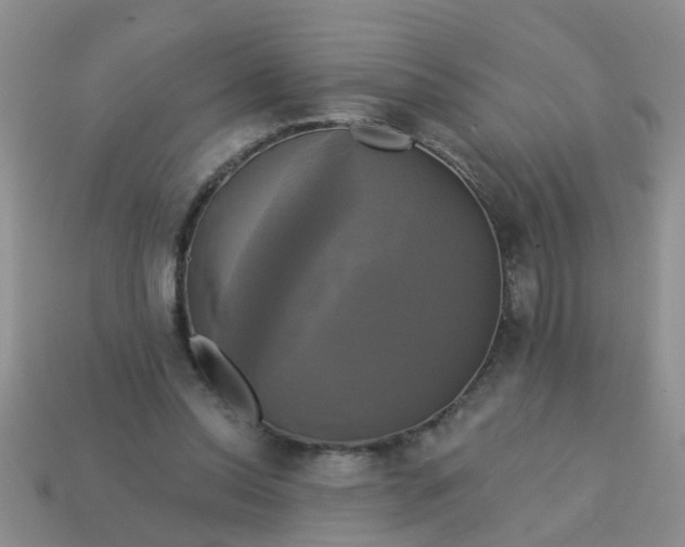 X0000113050350200909101944