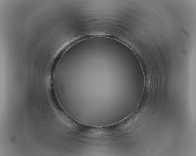 X0000113050351200909101944