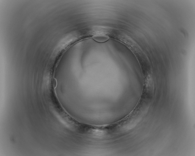 X0000113050352200909101944