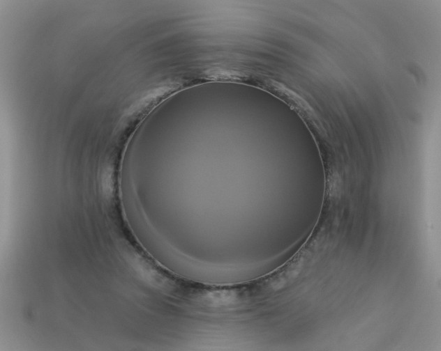 X0000113050353200909101944