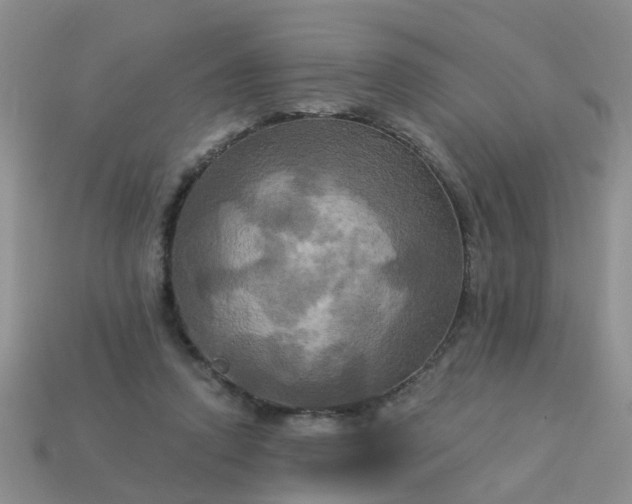 X0000113050354200909101944