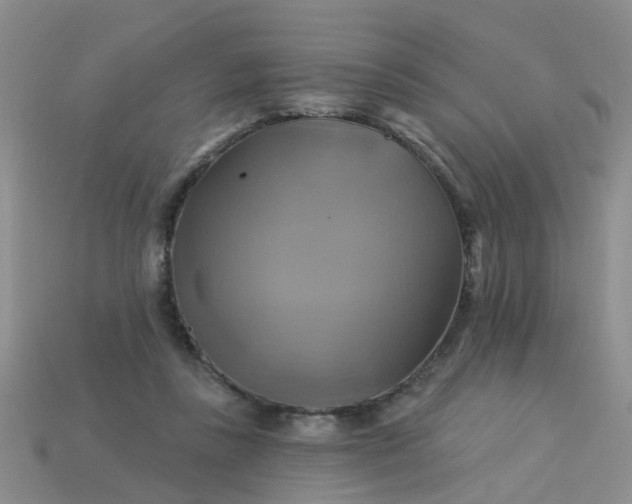 X0000113050355200909101944