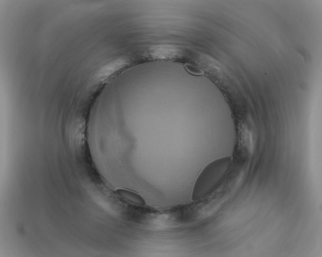 X0000113050356200909101944