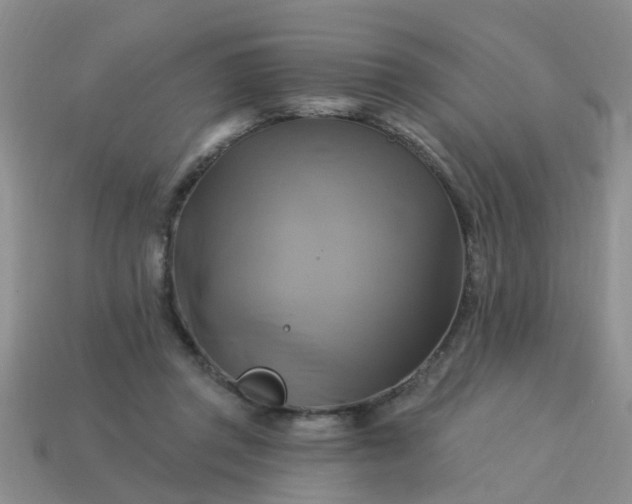 X0000113050357200909101944