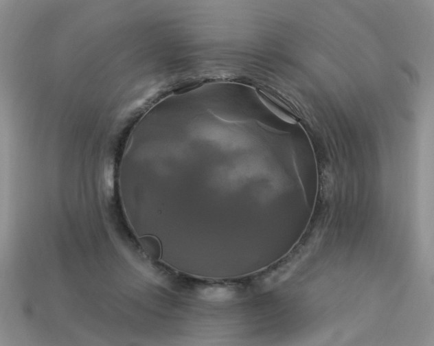 X0000113050358200909101944