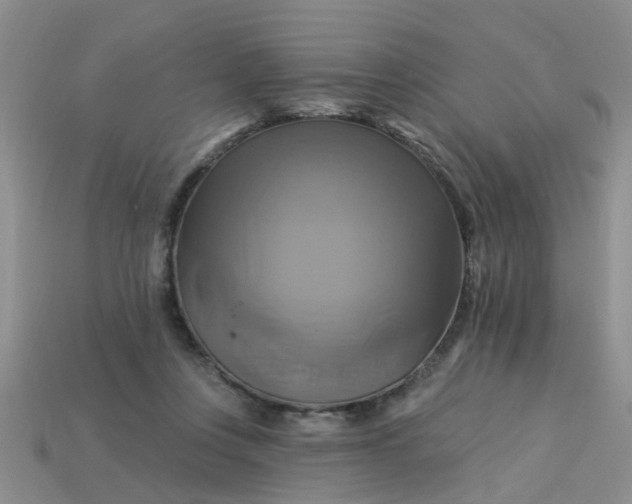 X0000113050359200909101944