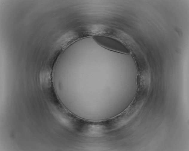 X0000113050360200909101944