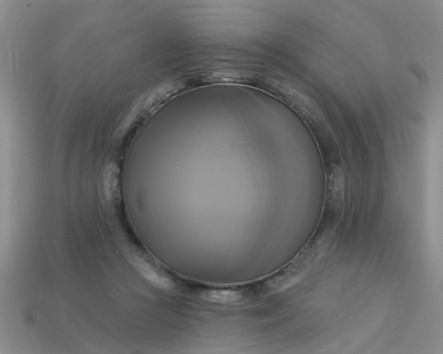 X0000113050361200909101944