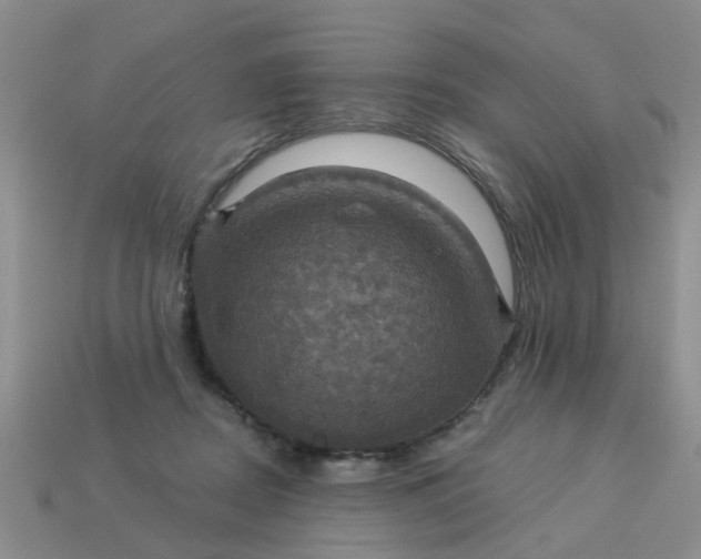 X0000113050362200909101944