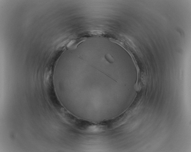 X0000113050364200909101944