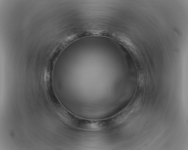 X0000113050365200909101944