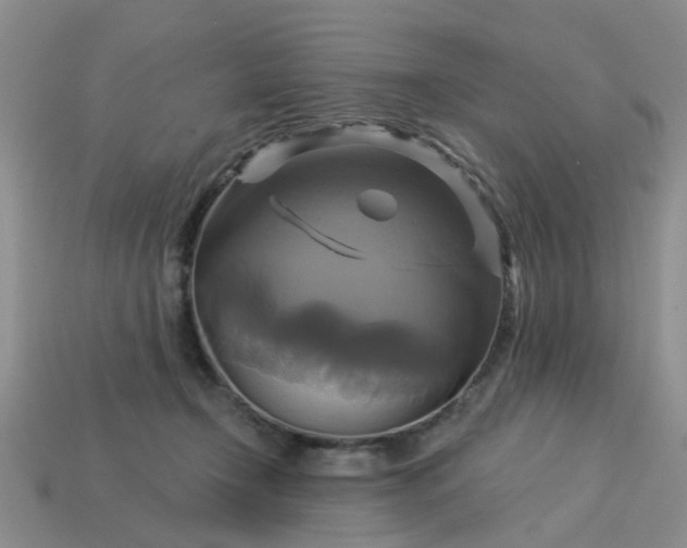 X0000113050366200909101944