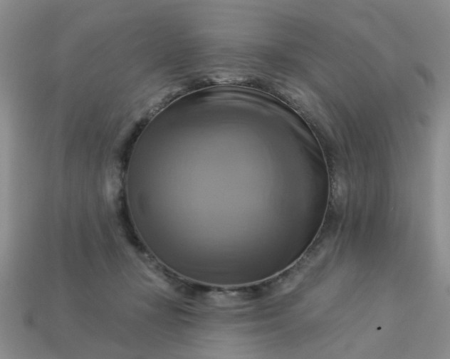 X0000113050367200909101944