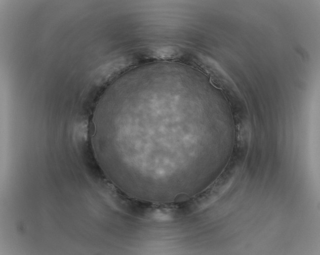 X0000113050368200909101944