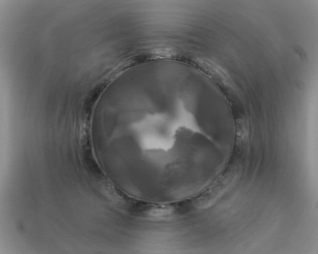 X0000113050369200909101944