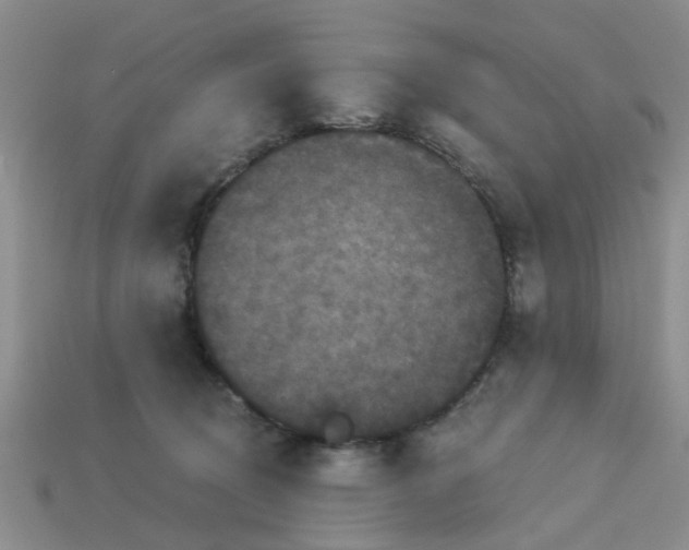 X0000113050370200909101944