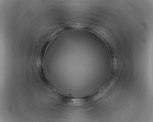 X0000113050371200909101944